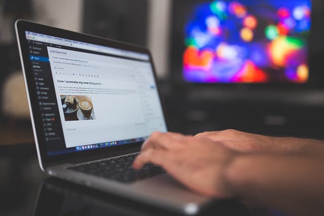 The Best WordPress Starter Themes